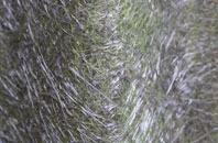 Roughway fibreglass roof work